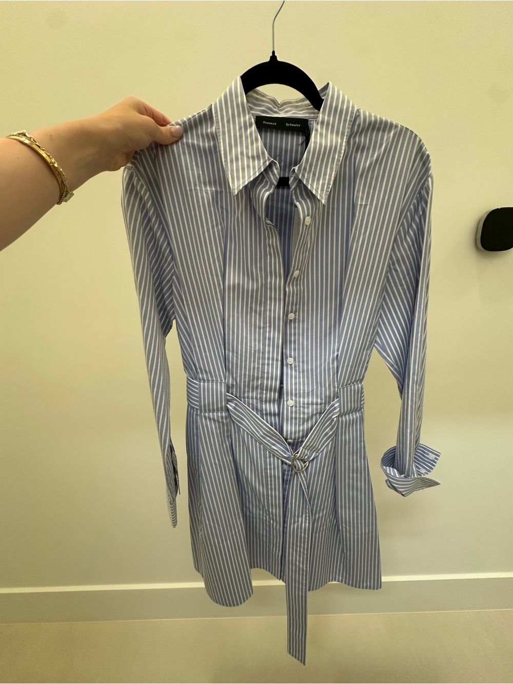 Proenza Schouler Blue and White Striped Button-Down Shirt Dress